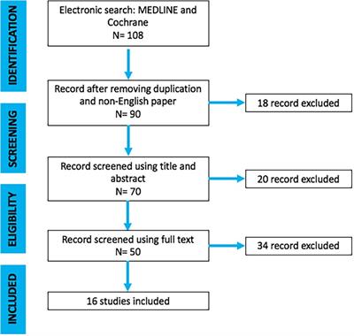 Triangular osteosynthesis and lumbopelvic fixation as a valid surgical treatment in posterior pelvic ring lesions: a systematic review